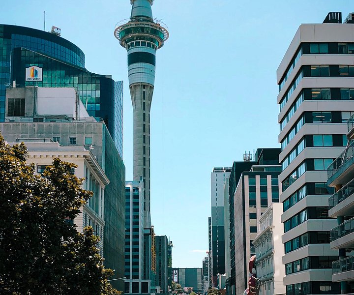 auckland electrical