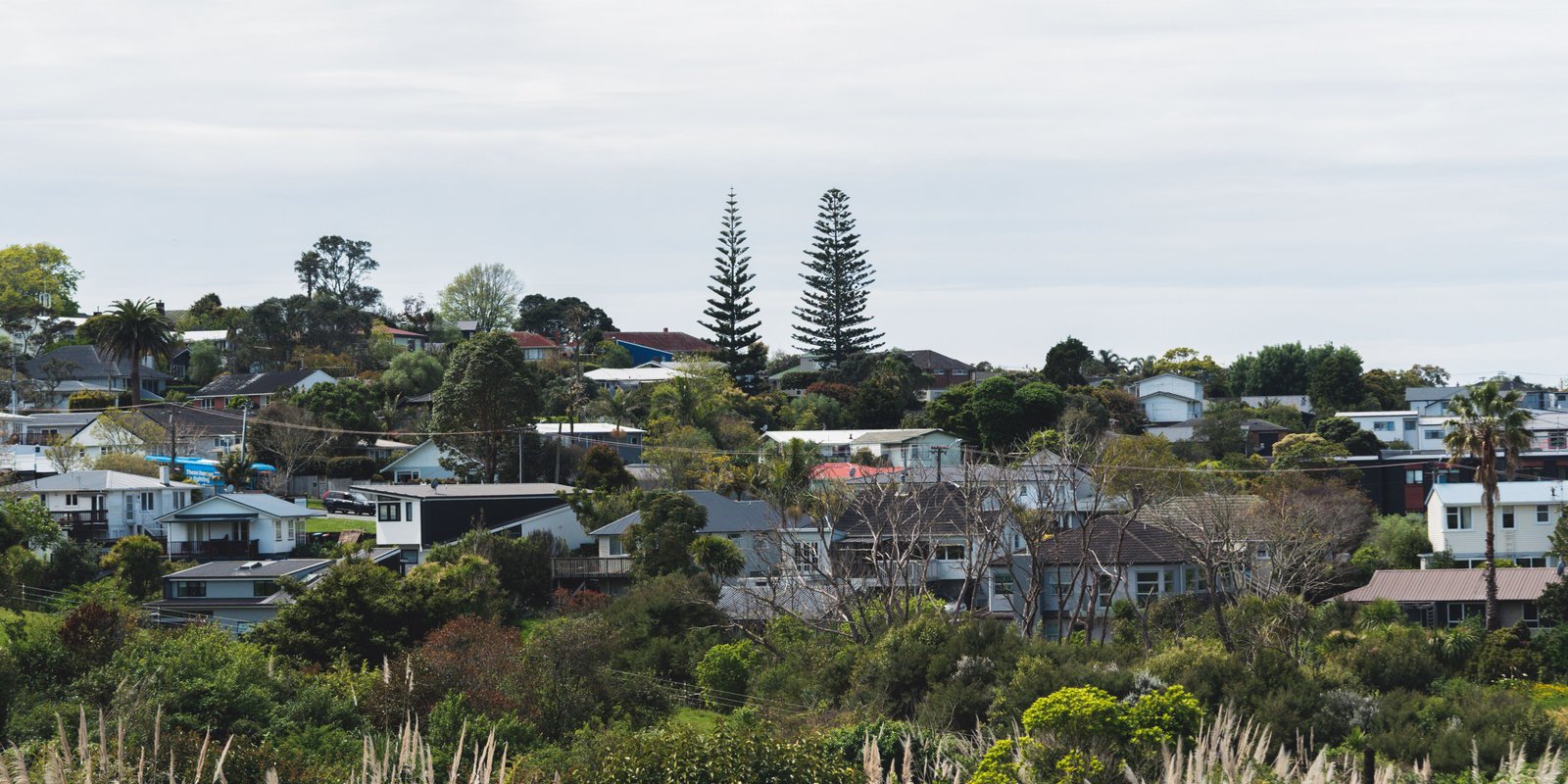 Registered electrician visiting a residential area during an Auckland home rewire