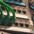 Data cabling setup improving WiFi speed and coverage in an Auckland property