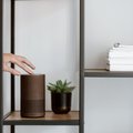 A hand interacts with a smart speaker on a minimalist shelf, featuring a plant and stacked books
